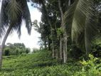 Land for sale in Galle