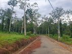 Land for Sale in Galle