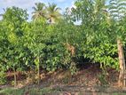 Land for Sale in Galle