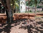 Land for Sale in Galle