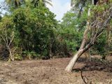 Land for sale in galle