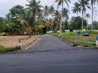 Land for sale in Galle Hapugala