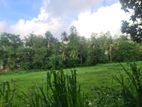 Land for Sale in Galle, Kaduruduwa