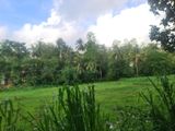 Land for Sale in Galle, Kaduruduwa