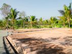 Land for Sale in Galle - Pinnaduwa