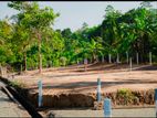 Land for Sale in Galle - Pinnaduwa