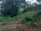 Land for Sale in Galle Pinnaduwa - ගාල්ල පින්නදූවෙන් ඉඩමක්