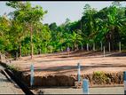 Land For Sale in Galle - Pinnaduwa Highway Entrance