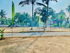 Land For Sale in Galle Road වාද්දූව