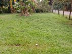 LAND FOR SALE IN GALLE WACKWELLA ROAD.