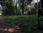 Land for Sale in Gammanpila Bandaragama