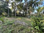 Land for Sale in Gampaha 8.5 P