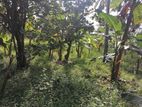 Land for Sale in Gampaha Balummahara Kathuruwatte