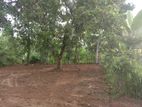 Land for Sale in Gampaha Bemmulla