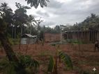 Land for Sale in Gampaha Bemmulla Wigoda