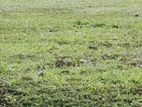 Land for sale in Gampaha City Limit