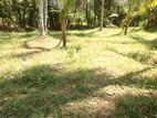 Land for Sale in Gampaha, Delgoda