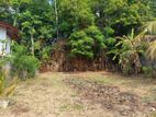 Land for Sale in Gampaha