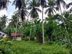 Land for Sale in Gampaha