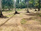Land For Sale in Gampaha.