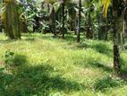 Land for Sale in Gampaha