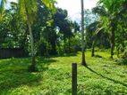 Land For Sale In Gampaha