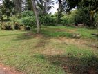 Land for Sale in Gampaha