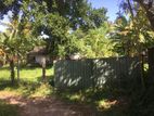 Land for sale in Gampaha