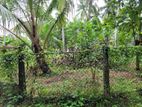 Land For Sale In Gampaha