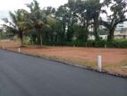 Land for Sale in Gampaha