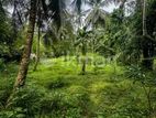 Land for Sale in Gampaha