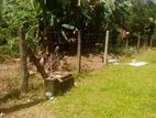 Land for Sale in Gampaha