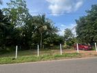 Land for Sale in Gampaha