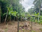 Land for Sale in Gampaha