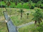 Land for Sale in Gampaha