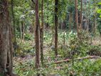 Land For Sale In Gampaha