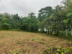 Land for Sale in Gampaha