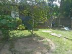 Land for Sale in Gampaha