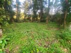 Land for Sale in Gampaha