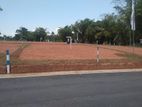 Land for sale in gampaha