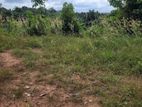 Land for Sale In Gampaha