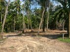 Land for Sale in Gampaha