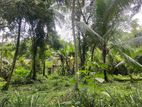 Land for Sale in Gampaha
