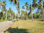 Land for Sale in Gampaha