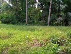 Land for Sale in Gampaha