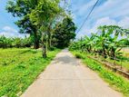 Land for Sale in Gampaha