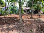 Land for Sale in Gampaha