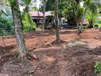 Land for Sale in Gampaha
