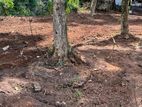 Land for Sale in Gampaha