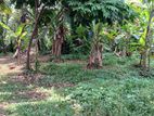 Land for Sale in Gampaha